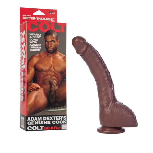 Porn Star Adam Dexter LARGE Dildo With Suction Cup Brown